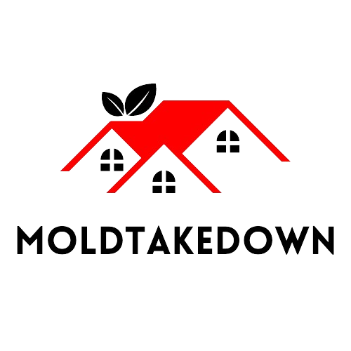 Mold Takedown